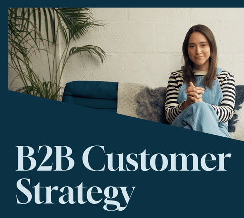 Building a B2B Customer Strategy