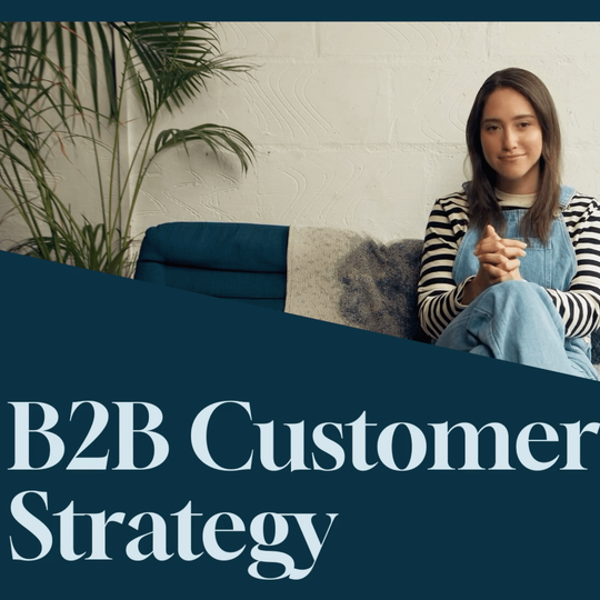 Building a B2B Customer Strategy